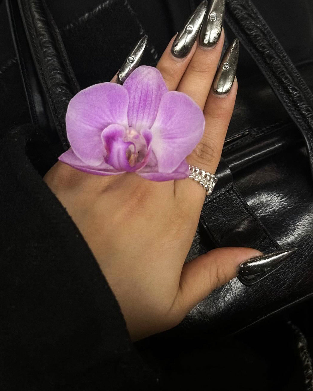 SPINE RING